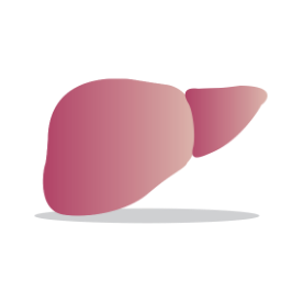 hepatite c